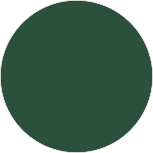 Зеленый мох RAL 6005