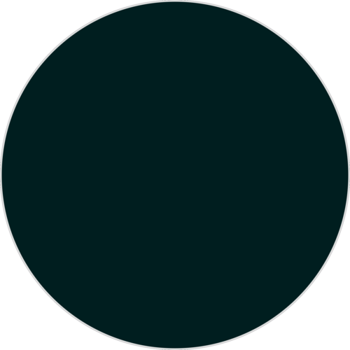 Черный глянец RAL 9005